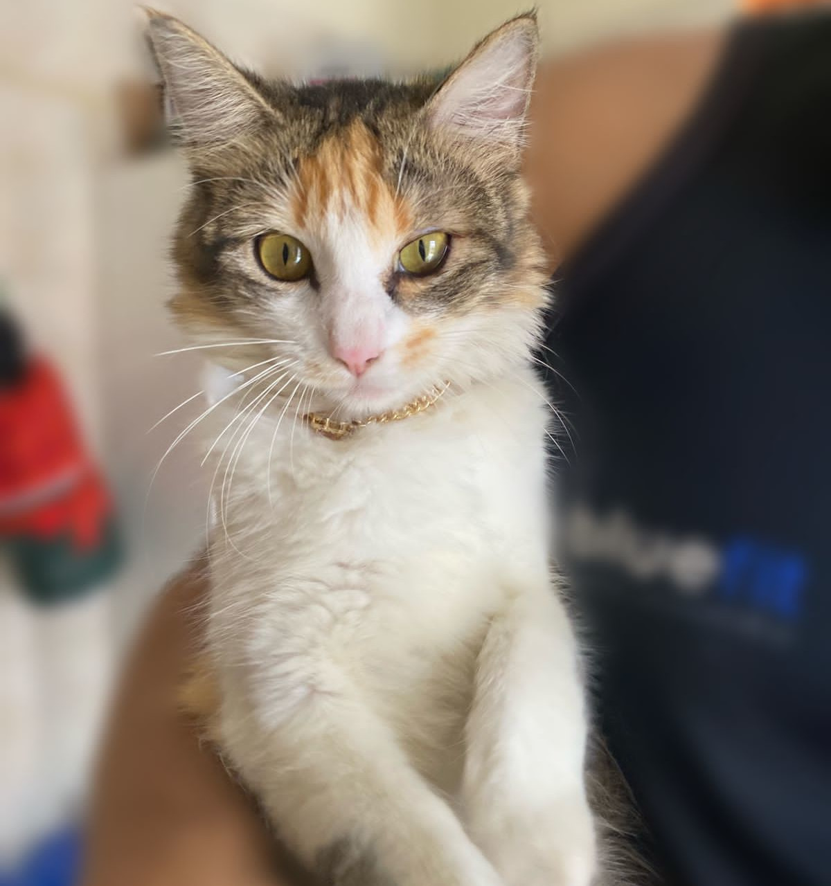 Imagem Da Nany Com Seu Tutor